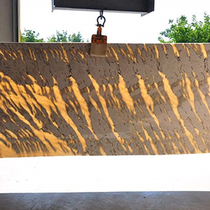 ZEBRA ONYX